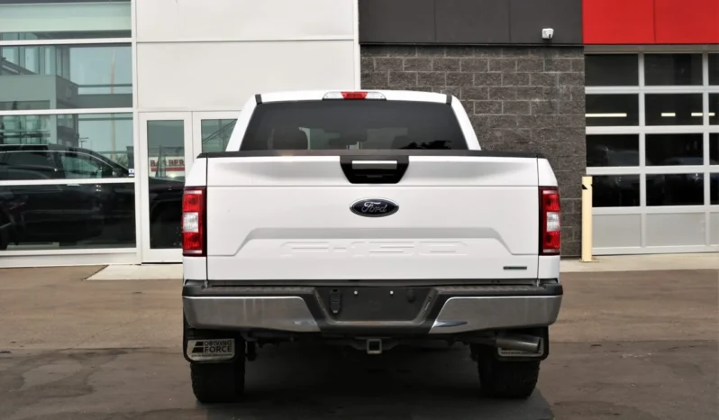 
2019 FORD F150 SUPERCREW full									