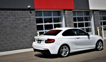 
2016 BMW 228iXdrive full								
