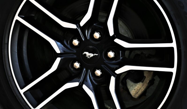 
2020 FORD MUSTANG full									