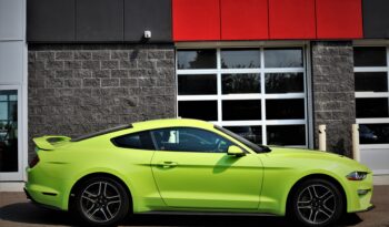 2020 FORD MUSTANG full