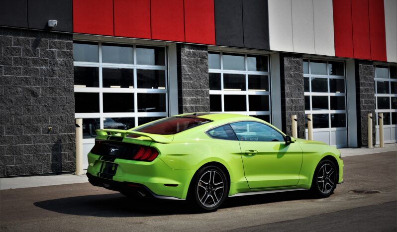 
2020 FORD MUSTANG full									