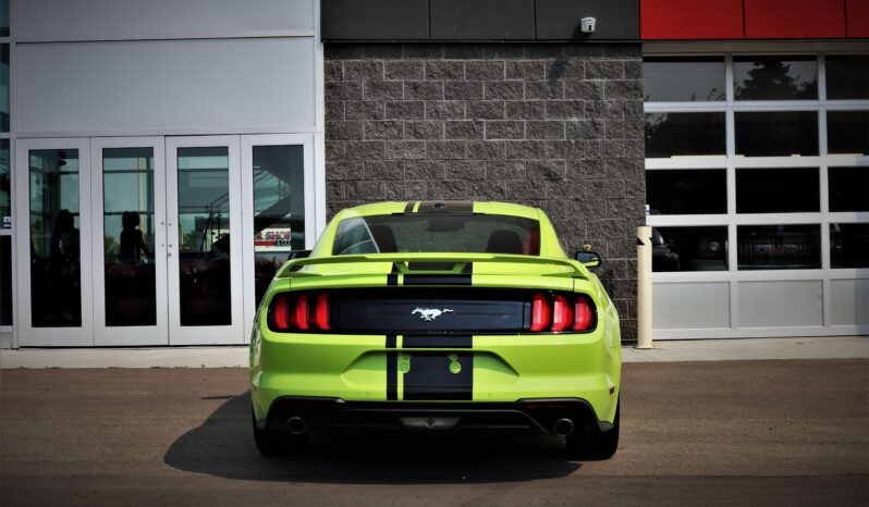 
2020 FORD MUSTANG full									