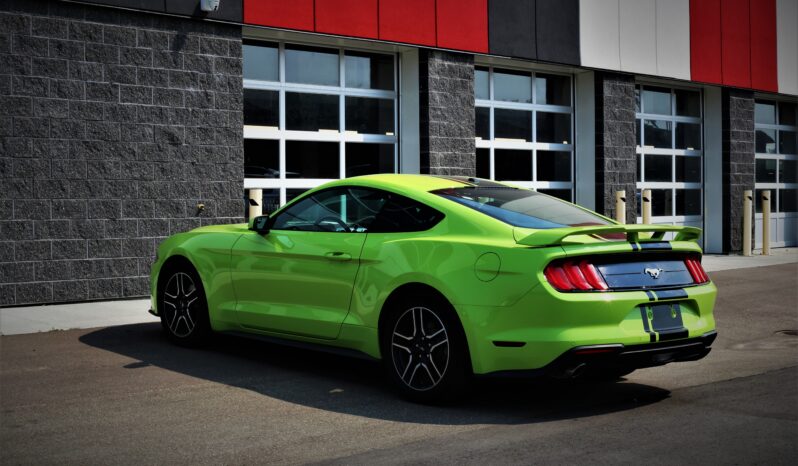 
2020 FORD MUSTANG full									