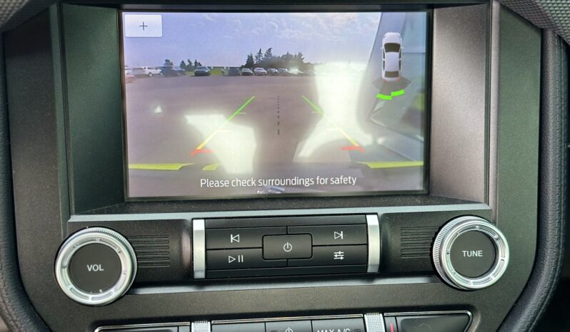 
2020 FORD MUSTANG full									