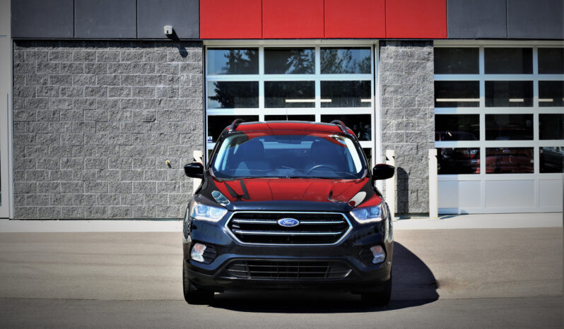 
2019 FORD ESCAPE SE AWD full									