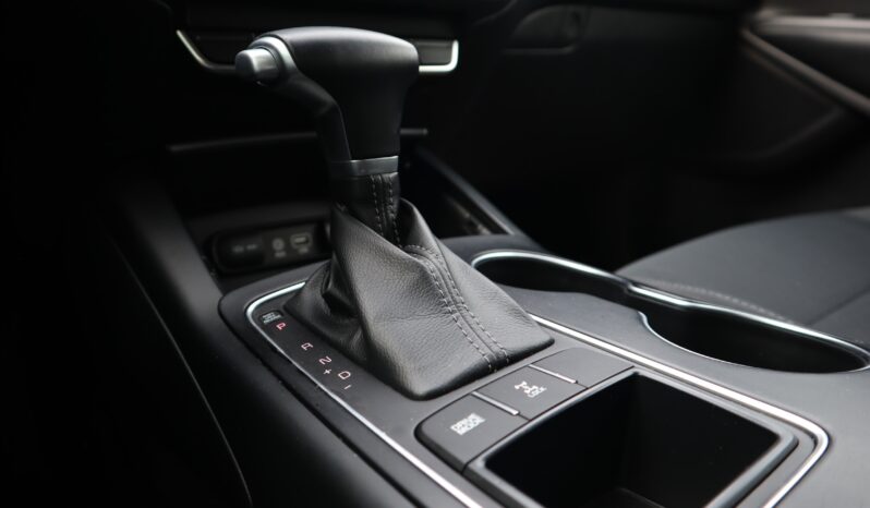 
2019 Kia Sorento full									