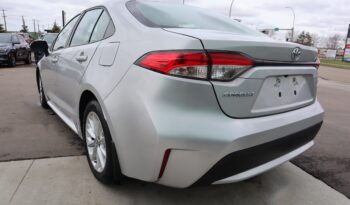 
2021 Toyota Corolla full								