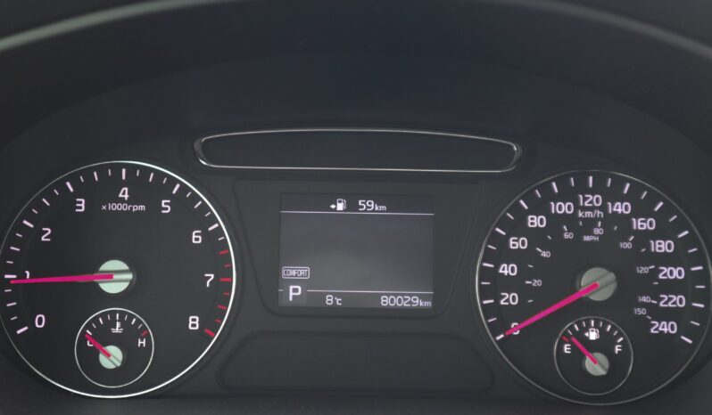 
2019 Kia Sorento full									