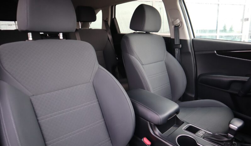 
2019 Kia Sorento full									