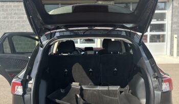 
2020 FORD ESCAPE SE full								