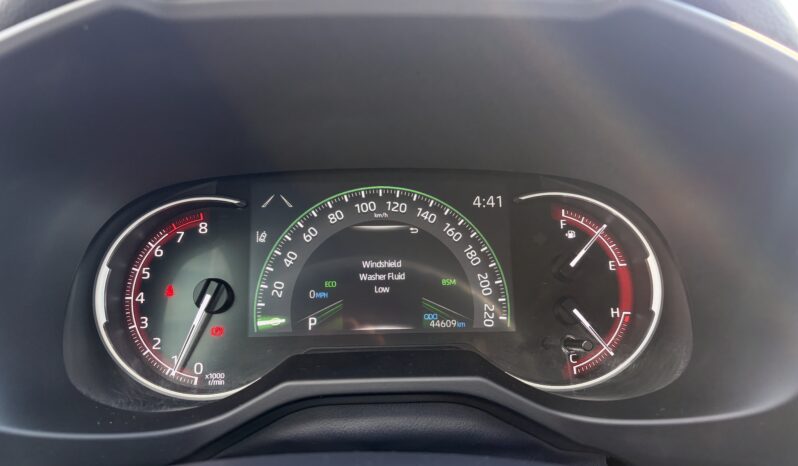 
2025 TOTOYA RAV4 LE full									