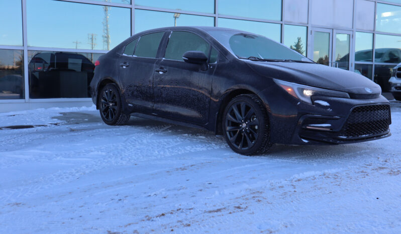 
2023 TOYOTA COROLLA LE full									