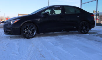 
2023 TOYOTA COROLLA LE full								