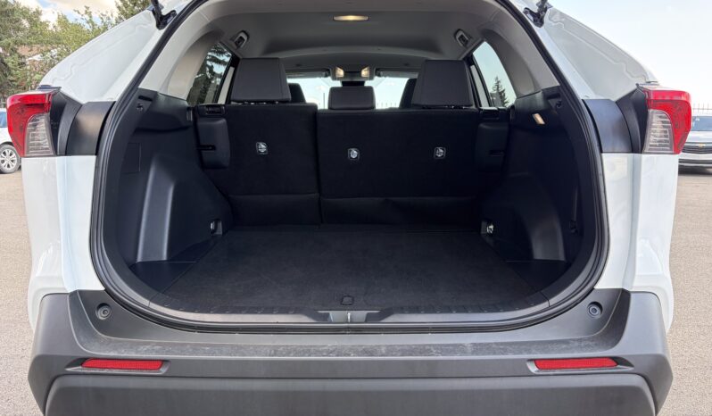 
2025 TOTOYA RAV4 LE full									