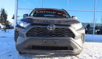 2023 TOYOTA RAV4 XLE full