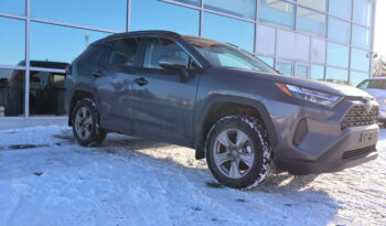 2023 TOYOTA RAV4 XLE full