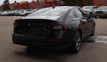 
2023 Honda Accord EX full								