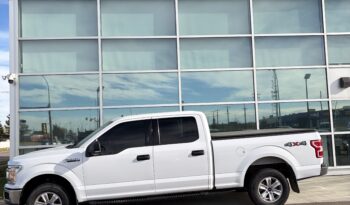 2020 FORD F-150 XL full