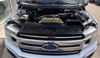 2020 FORD F-150 XL full