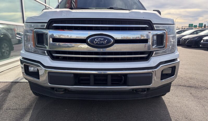 
2020 FORD F-150 XL full									