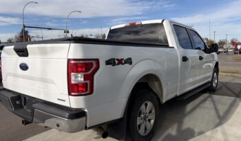 2020 FORD F-150 XL full