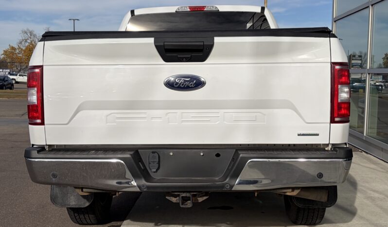 
2020 FORD F-150 XL full									