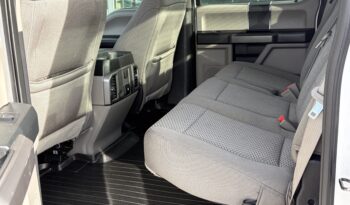 2020 FORD F-150 XL full