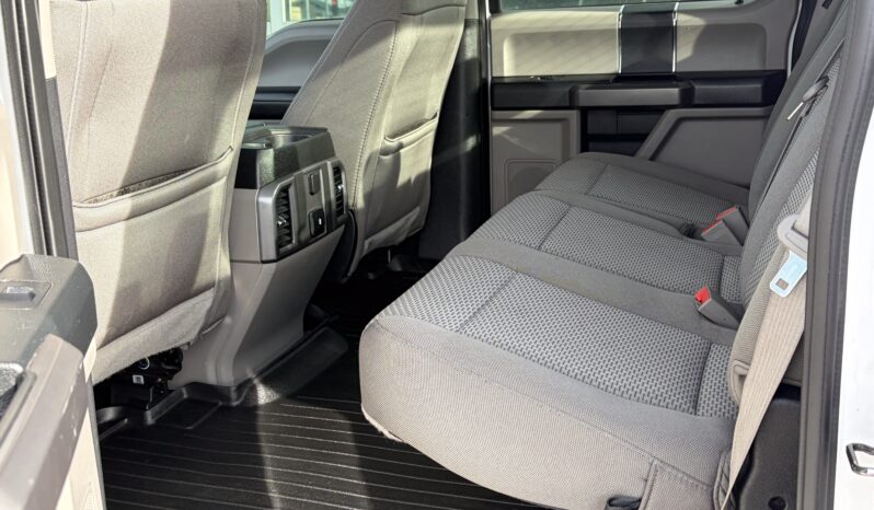 
2020 FORD F-150 XL full									