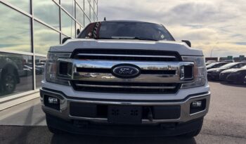2020 FORD F-150 XLT full
