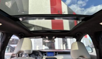 
2019 INFINITI QX50 full								