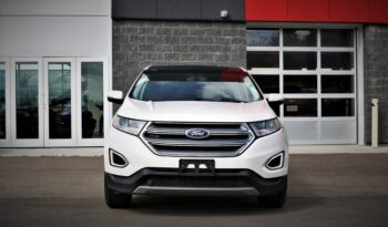 2016 FORD EDGE SEL full