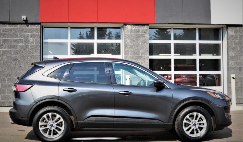 
2020 FORD ESCAPE SE full									