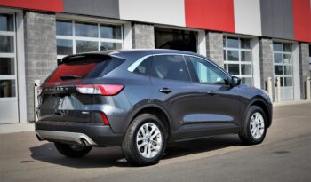 
2020 FORD ESCAPE SE full								
