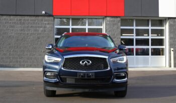 2019 INFINITI QX60 full