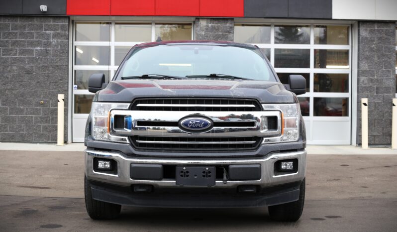 
2019 FORD F-150 XLT full									