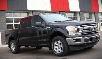 2019 FORD F-150 XLT full