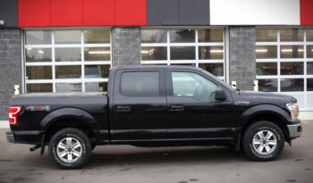 2019 FORD F-150 XLT full