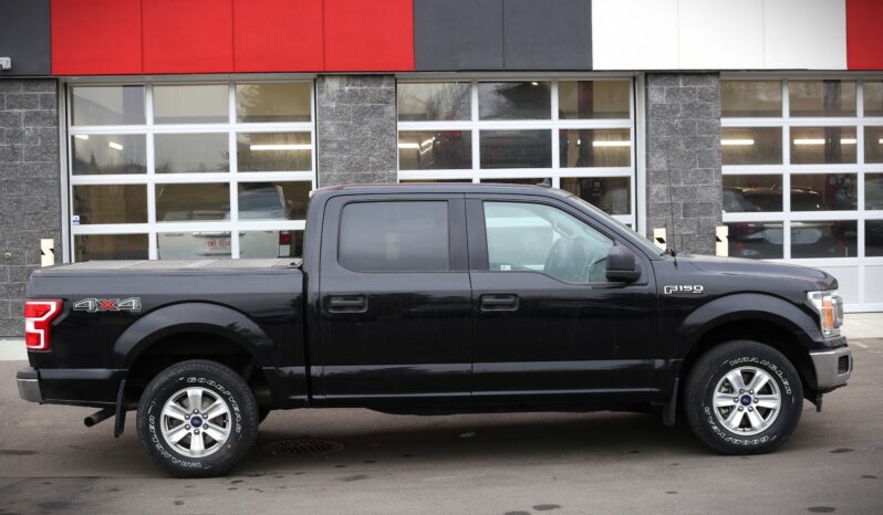 
2019 FORD F-150 XLT full									