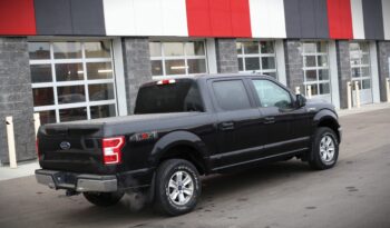 2019 FORD F-150 XLT full