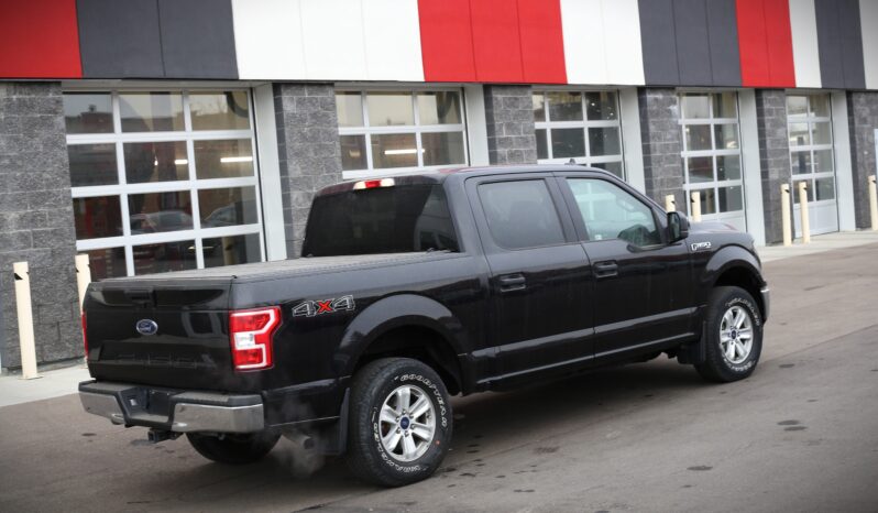 
2019 FORD F-150 XLT full									