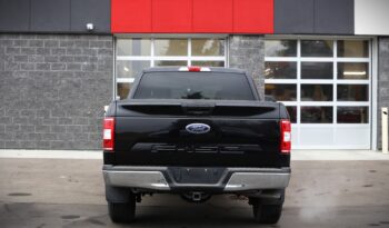 2019 FORD F-150 XLT full