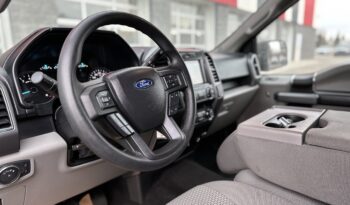 2019 FORD F-150 XLT full