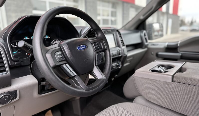 
2019 FORD F-150 XLT full									
