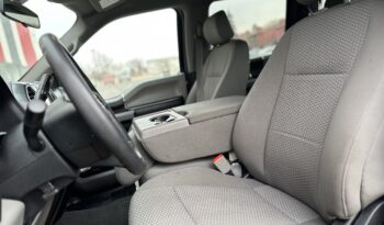 2019 FORD F-150 XLT full