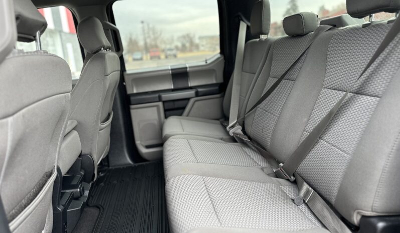 
2019 FORD F-150 XLT full									
