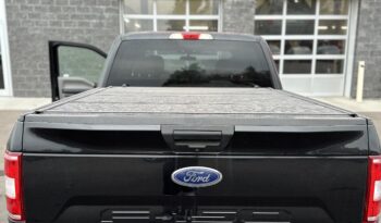 2019 FORD F-150 XLT full