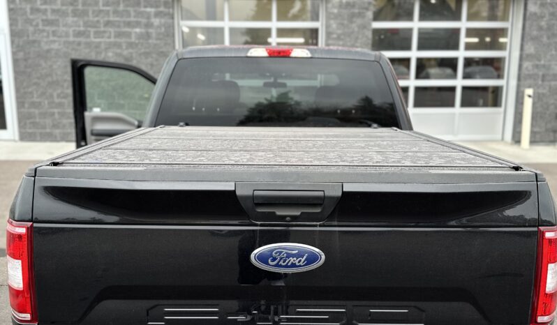 
2019 FORD F-150 XLT full									