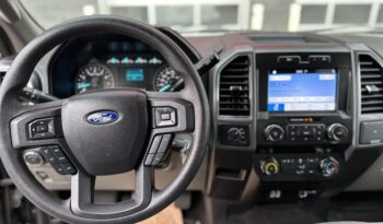 2019 FORD F-150 XLT full