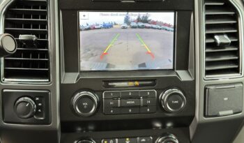 2019 FORD F-150 XLT full