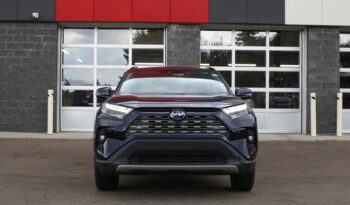 2024 TOYOTA RAV-4 LIMITED full